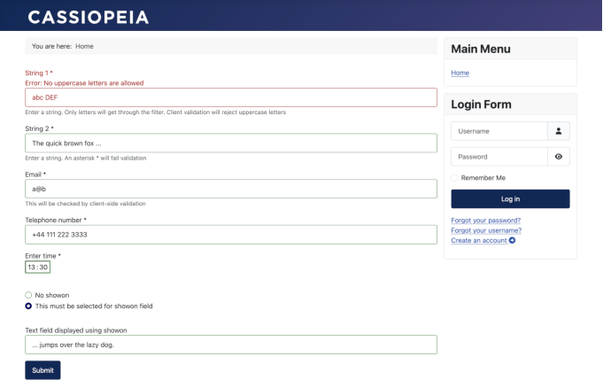 example form with added data